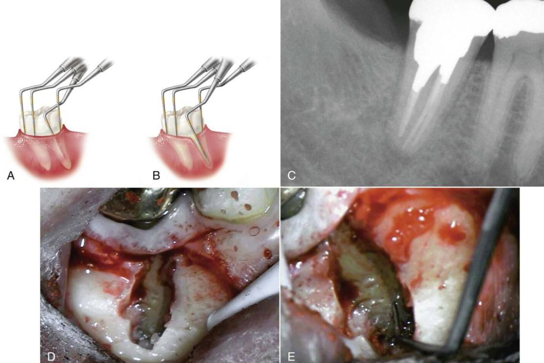10285773_832323816822332_4146709042589655179_o
