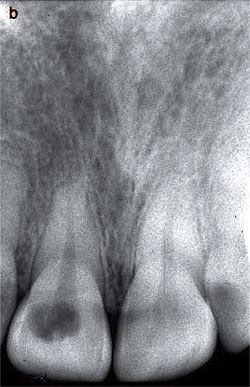 10422084_812207478833966_6331999311111370794_n