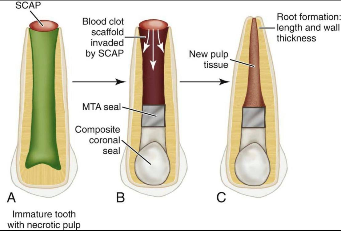 11054471_809531755768205_2171771213307136047_o