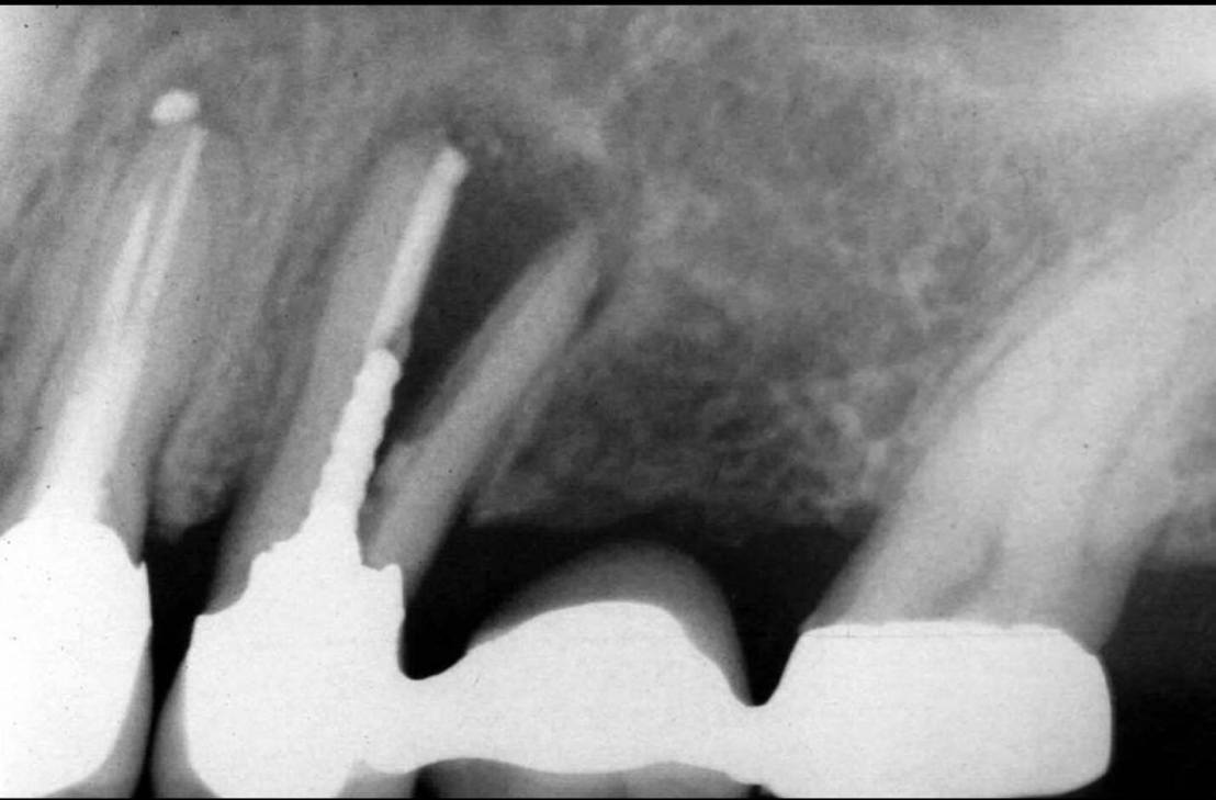 11216625_809215059133208_5010472251685036014_o