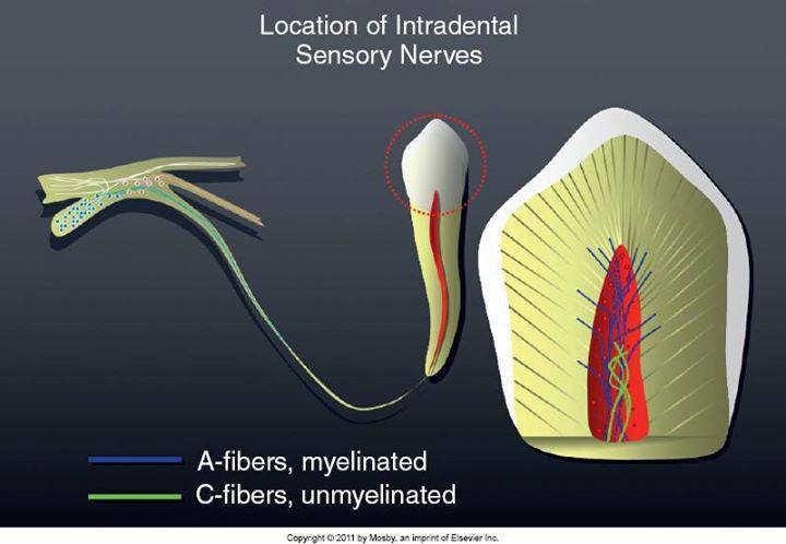 11217523_823019041086143_4765868447478573148_n