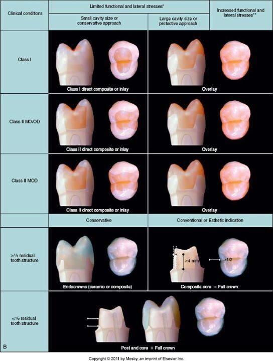 11262481_809207815800599_1726421356444333754_n