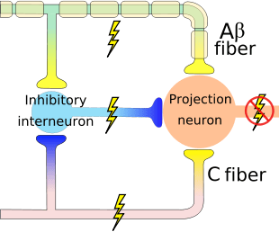 11392859_823031567751557_6661571266659748505_n