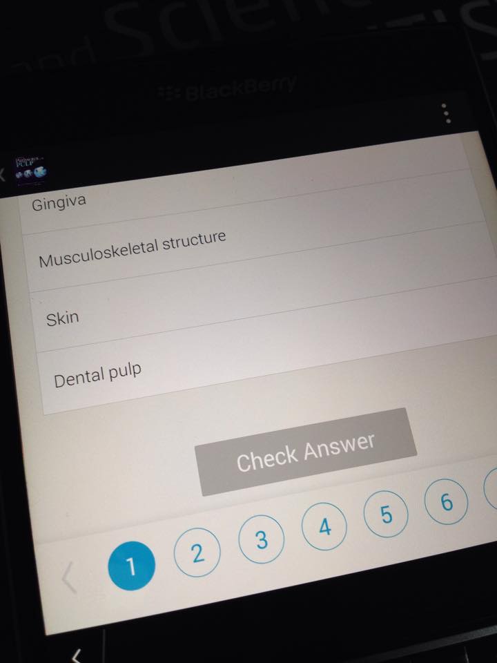 12004094_867311093323604_3922973610970226410_n