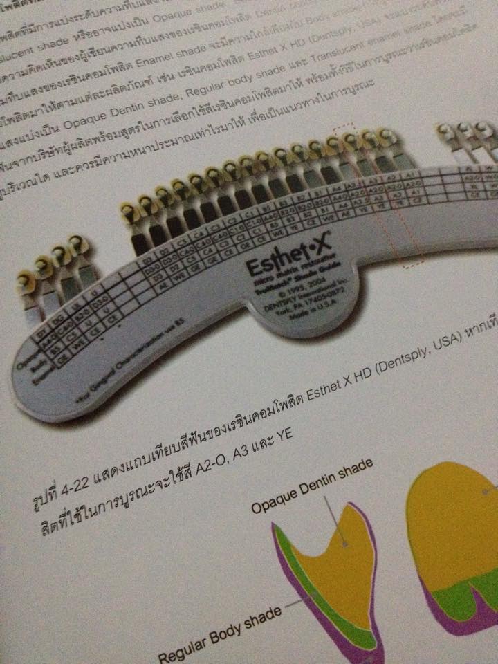 12047137_878624158858964_8720692037048690242_n