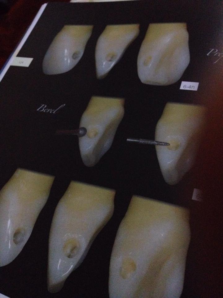 12072534_878626032192110_1469791597090232589_n