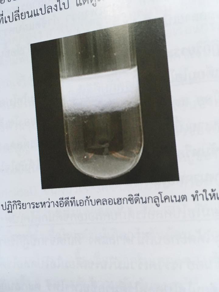 14955854_1115208261867218_9166527062430326177_n