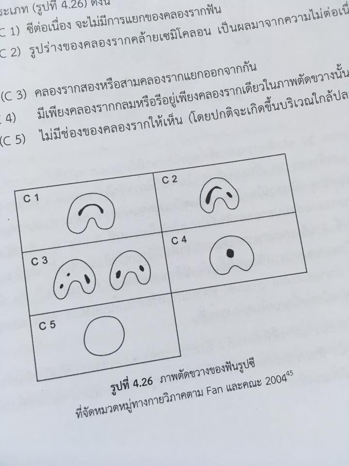 14956544_1115200088534702_2308754779405835565_n