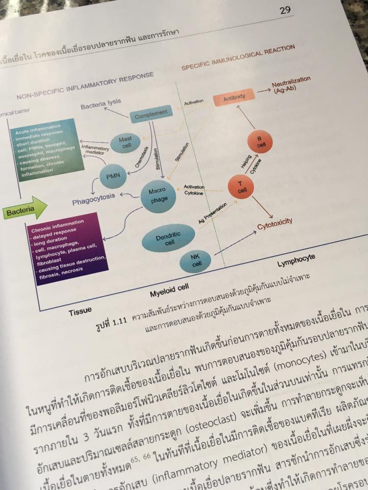 14993560_1115169595204418_6971788545252073326_n