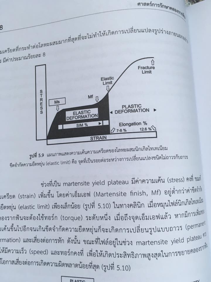 15037135_1115201995201178_4130119249847024514_n