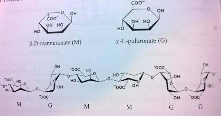 1888537_825901700797877_4819107941640191477_n
