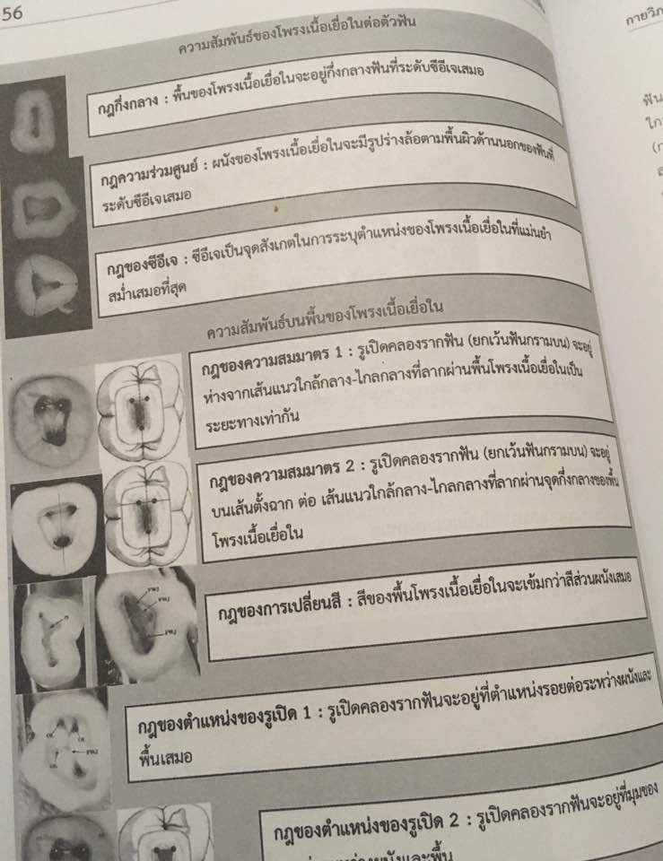 17352014_1592309280783482_5497997839858784970_n