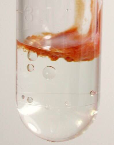 17361701_1593976657283411_8228392865437285860_n