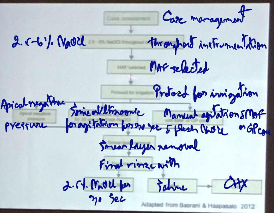17362844_1593967340617676_5208522265651524138_n