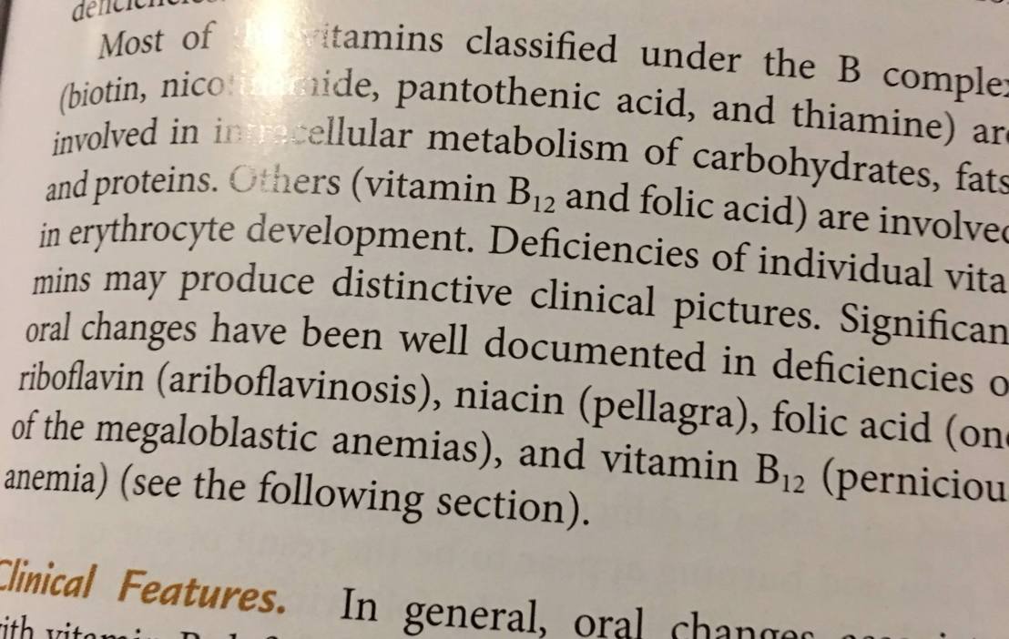 19956215_1738049452876130_1658687416810643548_o