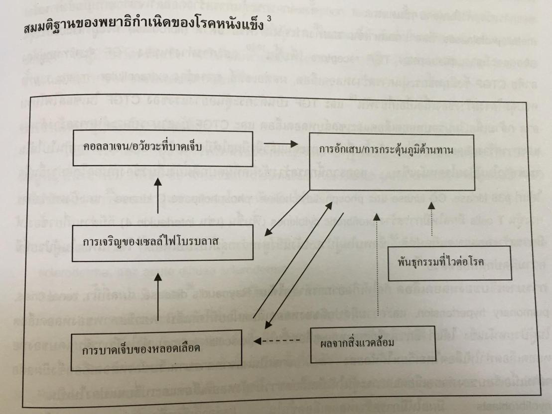 19957070_1737937006220708_139722080823631952_o