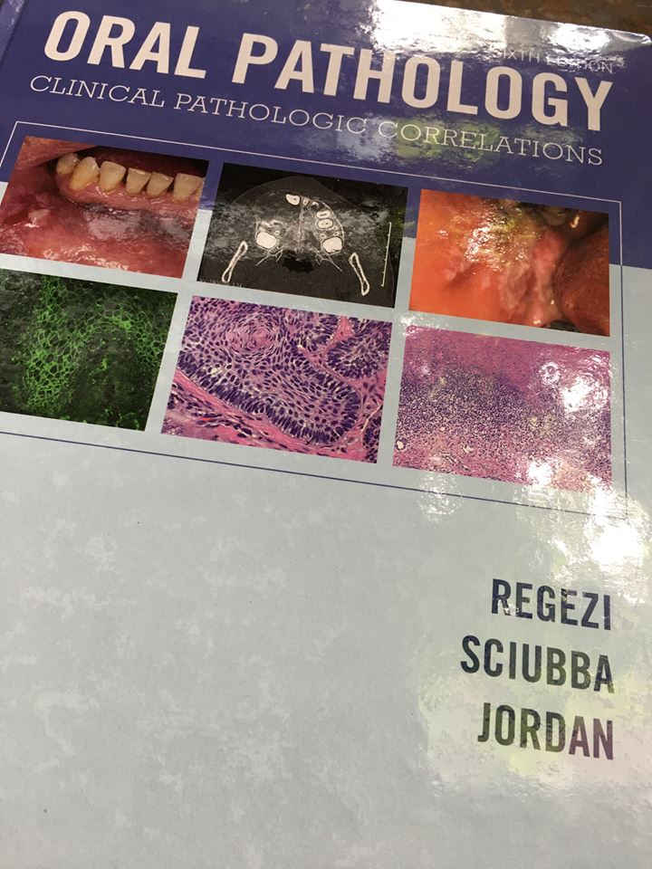 19959205_1737922912888784_1147774369851304096_n