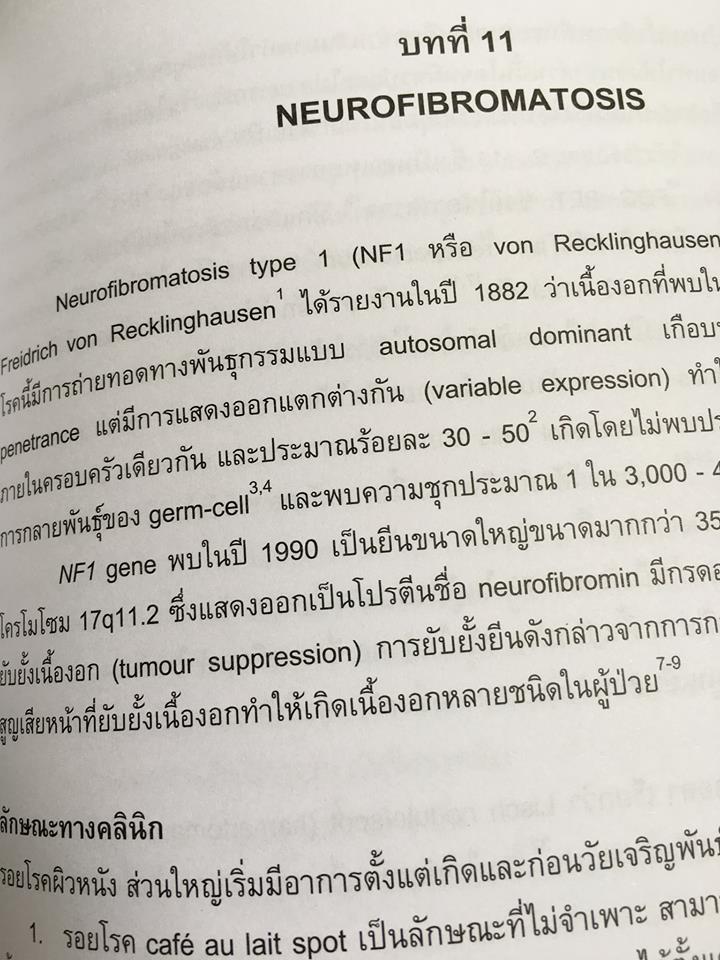 19961547_1737935856220823_791252597699464263_n