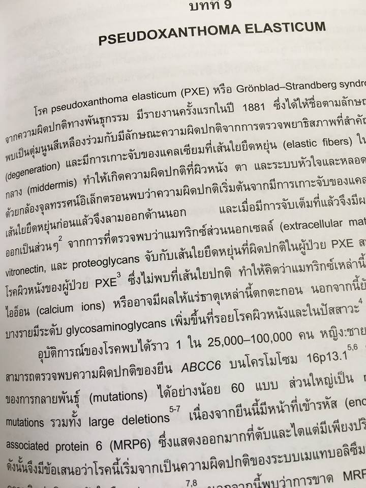 19989593_1737934959554246_2484382476879255379_n