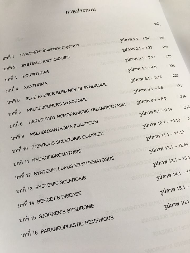 19990094_1737923186222090_8470487721709105632_n