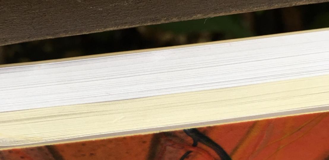 20017670_1737923226222086_3572898555123542949_o