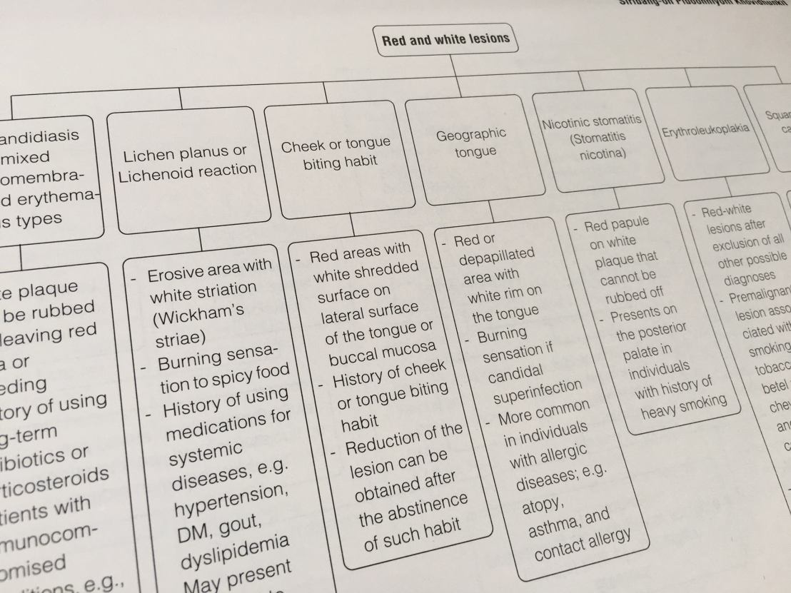 20023747_1737922839555458_9218813193822263122_o