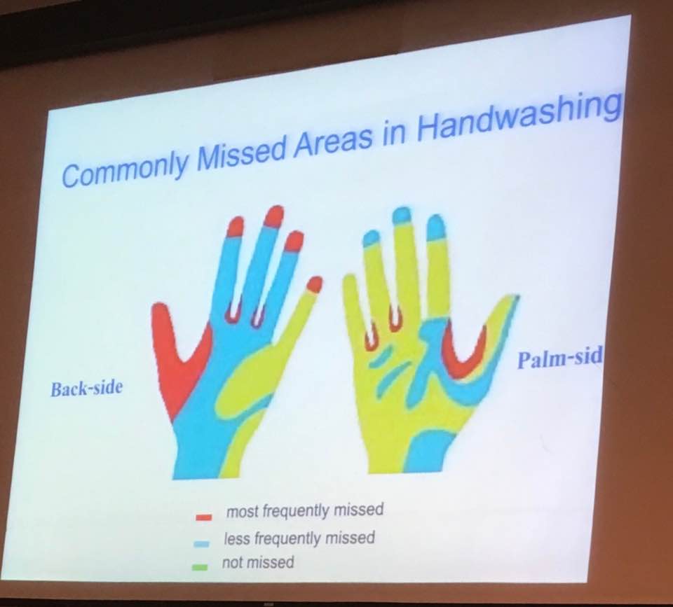 22140775_1824911880856553_3794111207164132918_n