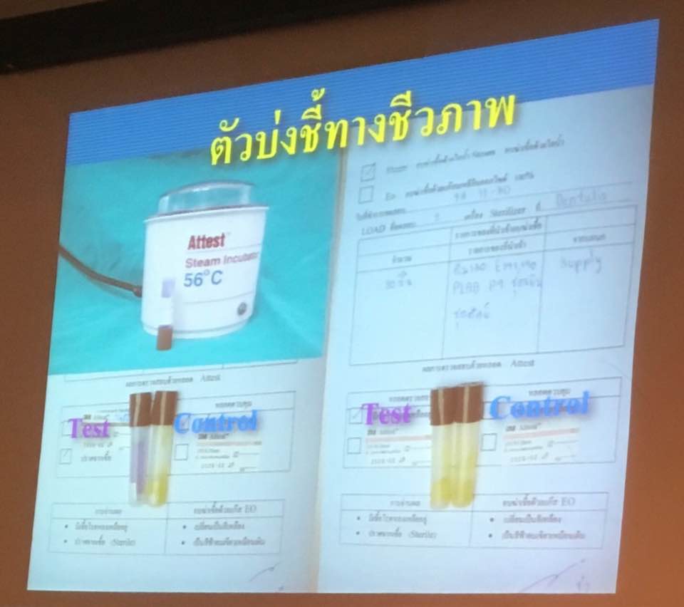 22279869_1824977004183374_6721203696605669347_n